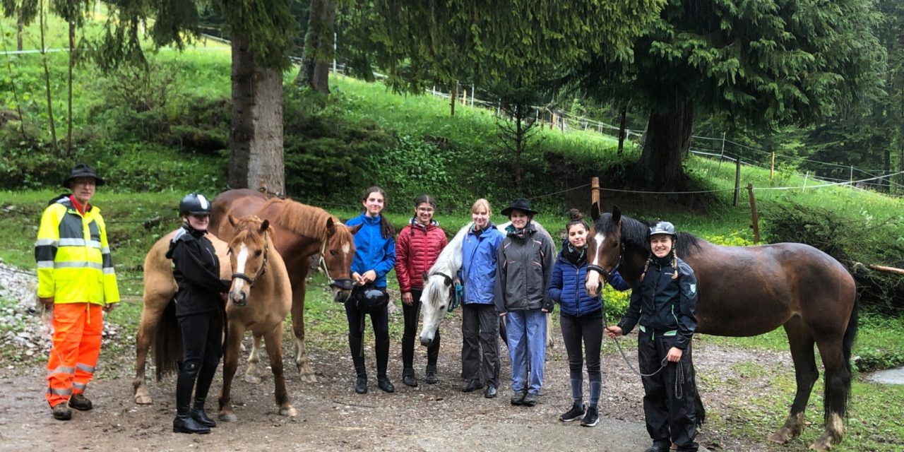 Découverte du cheval en Gruyère