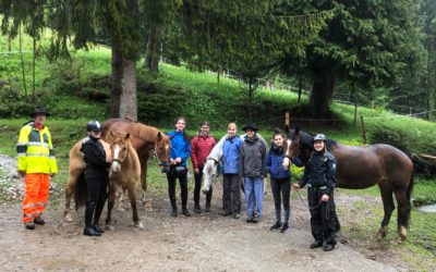 Découverte du cheval en Gruyère
