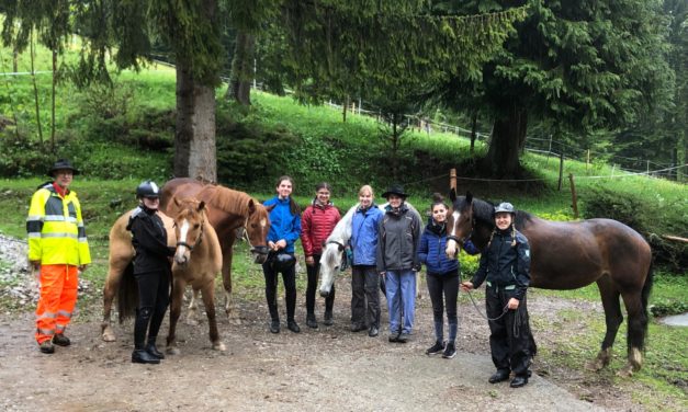 Découverte du cheval en Gruyère