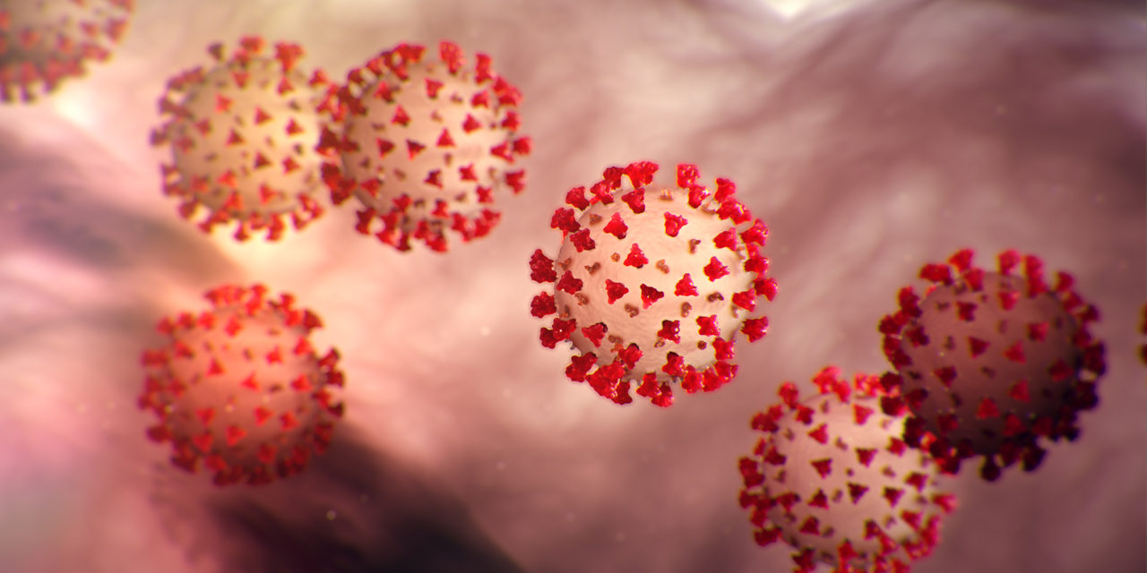 Coronavirus – Cours en ligne