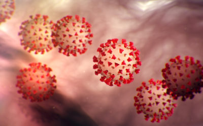 Coronavirus – Cours en ligne